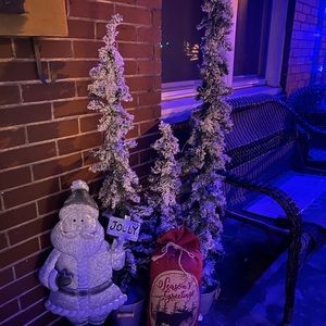 Three separate light up Christmas trees.